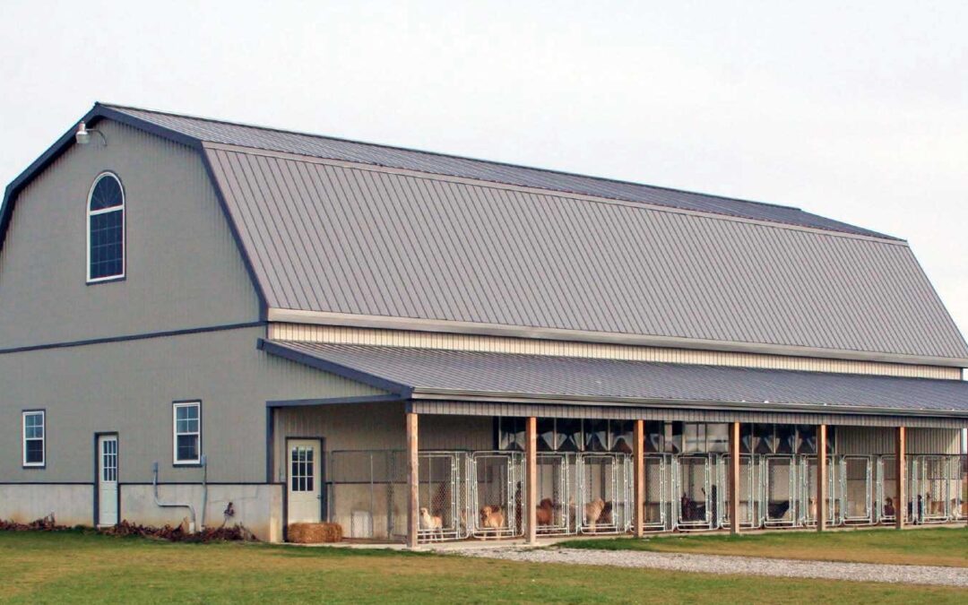 Amsey Brubacher-Dog Kennel